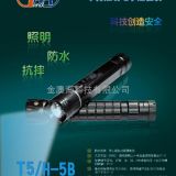 自動感應式電子巡更巡檢系統