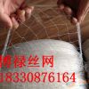 防鳥(niǎo)網(wǎng) 塑料拉伸網(wǎng) 塑料拉伸土工格柵 防鳥(niǎo)網(wǎng)廠家