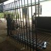 火爆銷售機場鐵絲網隔離網 工廠小區鐵絲隔離網 花園隔離網