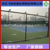 球場(chǎng)邊框護(hù)欄網(wǎng) 熱鍍鋅圍欄網(wǎng) 綠色勾花網(wǎng) 運(yùn)動(dòng)場(chǎng)防護(hù)網(wǎng)