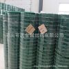 6*6安全隔離浸塑荷蘭網 圈地養殖包塑鐵線網荷蘭網定制
