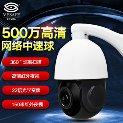 廠家直銷攝像機(jī) 500萬高清監(jiān)控網(wǎng)絡(luò)高速球體 自動(dòng)巡航夜視攝像頭