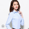 藍麗達女式襯衫 夏秋長短袖職業(yè)工作服酒店面試襯衣 廠家直銷批發(fā)