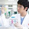 AMMEX愛馬斯廚房一次性手套乳膠無粉實驗室手套食品加工手套100只