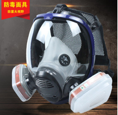 防毒面具噴漆化工防塵全面罩 大視野防甲醛硅膠消防防毒全面具軍