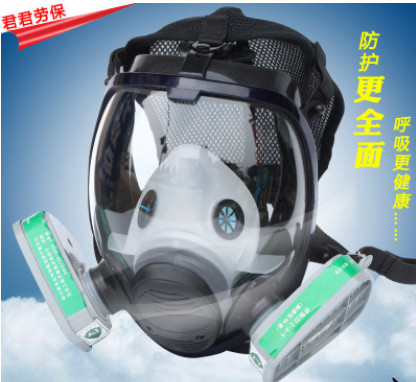 防毒全面具6800化工噴漆防護面罩硅膠火災(zāi)消防甲醛消毒氨氣 防毒