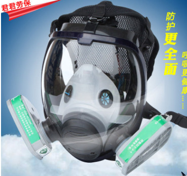 防毒全面具球形6800化工噴漆防護面罩硅膠火災(zāi)消防甲醛消毒氨氣