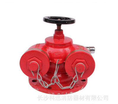 多功能水泵結合器 新型地上式水泵接合器 新國標 包驗收SQS100 15