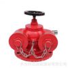 多功能水泵結合器 新型地上式水泵接合器 新國標 包驗收SQS100 15