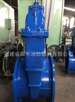 專業制造廠家直銷 球鐵大口徑法蘭彈性座封閘閥
