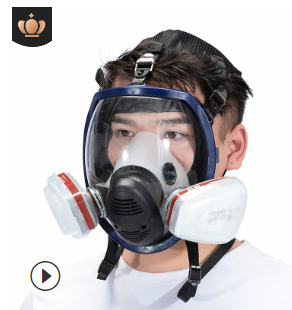 防毒面具全面罩呼吸器化工毒氣消防打農藥防工業粉塵防塵面罩口罩