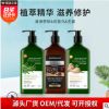 洗護用品除螨止癢澳洲茶樹精油洗發水 清爽控油植物精華洗發露