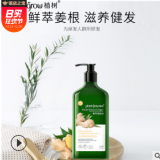 洗護用品生姜柔潤發絲洗發水 批發鮮萃姜根油洗發露