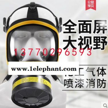 防毒面罩生化火災氣體一體式專業面具簡易自吸過濾單兵全臉全面具