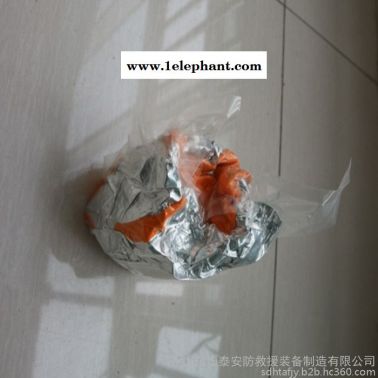 恒泰1空氣呼吸器面罩 供應呼吸器防護面罩 防護全面罩**
