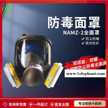 諾安 NAMZ 2 大視野防毒面具 防毒面具  防毒面罩 防護面罩