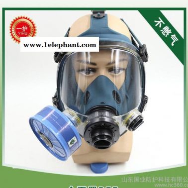 熱賣"一護"牌全面罩 大視窗設計全面罩 **耐用全面罩BFE