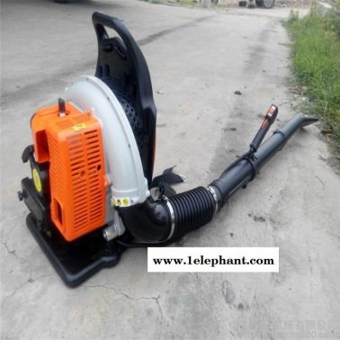 大棚園林落葉清掃機圖片  普航道路路面背負式吹塵機 風力滅火器訂購