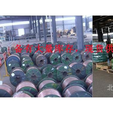 銅包鋼絞線---防雷專用產品 防雷器