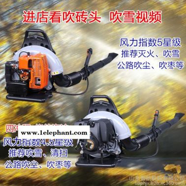 汽油大功率高效吹風機 兩沖程背負式滅火器 普航多功能家用輕便吹塵機