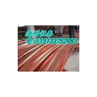 恒泰供應新疆西藏多種型號其他安全供電與防雷設備變電站專用銅包鋼扁鋼