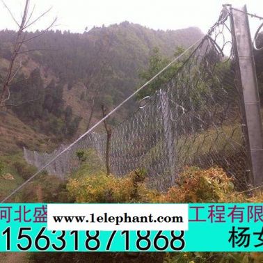 盛達環形防護網 環形防護網價格 環形防護網定制