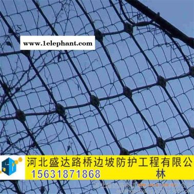 盛達SNS被動防護網 邊坡防護網 落石防護網 山體防護網 懸崖防護網