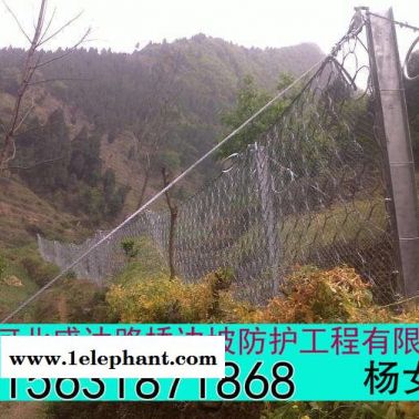 盛達 環形防護網單價 環形防護網規格型號 環形防護網廠