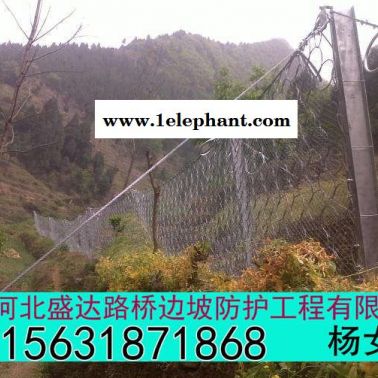 盛達 環形防護網詳情 環形防護網價格 環形防護網廠