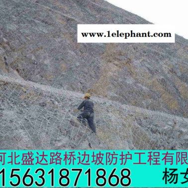 盛達 sns主動防護網直供 sns主動防護網詳情 護山網