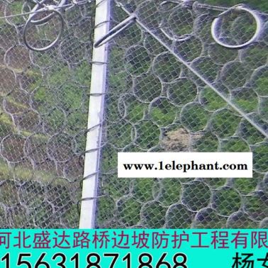 盛達 環形防護網現貨 環形防護網詳情 環形防護網方案