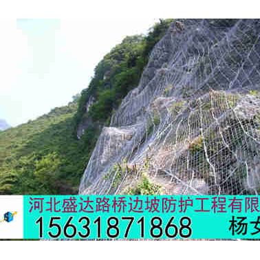 供應盛達主動防護網廠家 主動防護網批發 主動防護網圖片