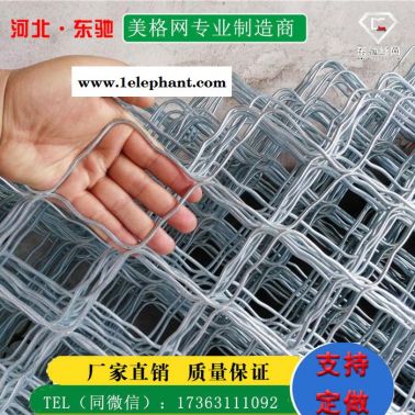 【東馳絲網(wǎng)】美格防護(hù)網(wǎng)A熱鍍鋅美格防護(hù)網(wǎng)A美格防護(hù)網(wǎng)圈地