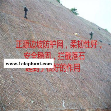 **蜘蛛網 鈦克網 主動防護網 邊坡防護網
