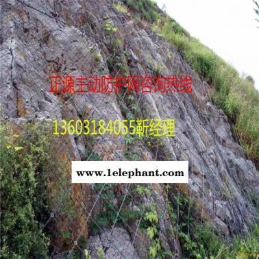 噴播綠化網 客土噴播網 山坡綠化防護網
