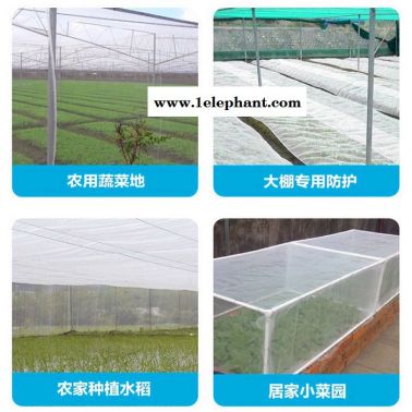 防鳥網價格 山體防護網 60目防蟲網
