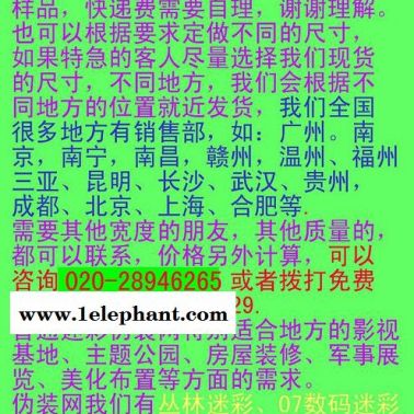 海洋偽裝網、防曬偽裝網、防太陽防陽光偽裝網、綠化偽裝網雄鷹戰士偽裝服