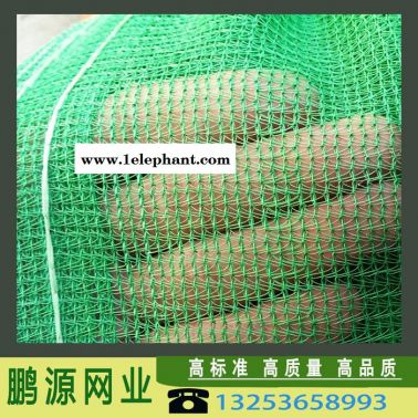 鵬源 **安全網 建筑防護網 密目網