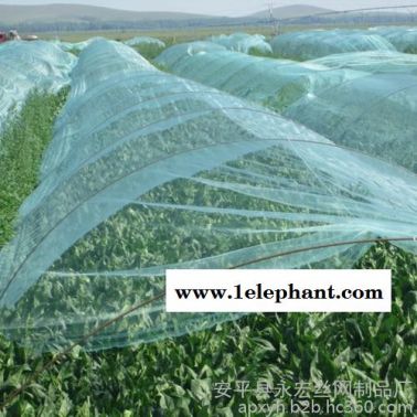 永宏  供應  防雹網   蔬菜防雹網  葡萄防雹網  植物防護網  防雹網廠家