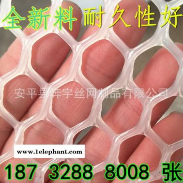 奔宇 廠家供應 PP塑料網 PE塑料網 塑料防護網 塑料格墊網規格齊全