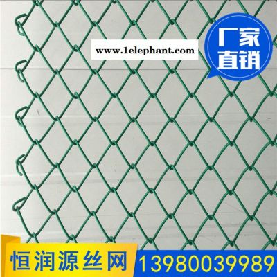邊坡綠化防護網 山體護坡防護網 噴漿植草鐵絲網   噴土植草鐵絲網 噴漿用鐵絲網