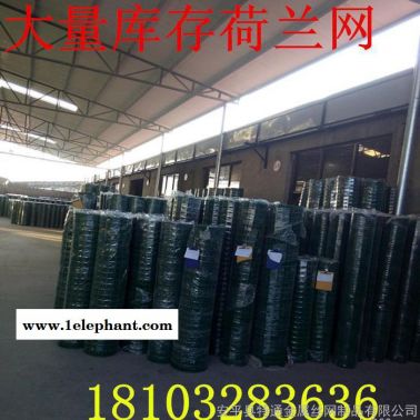 鐵絲包塑荷蘭網【新盈特】 波浪網 養殖防護網 圍欄專用網