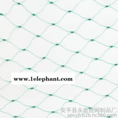 永宏  供應  0.5-3公分葡萄園防鳥網(wǎng)  防鳥網(wǎng)  果園專用防護網(wǎng)
