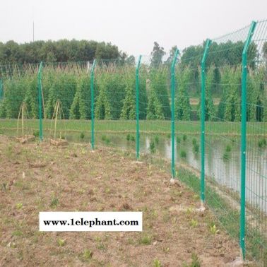果園魚塘護欄圍欄圈地養殖隔離網工地雙邊絲護欄 果園綠化防護網