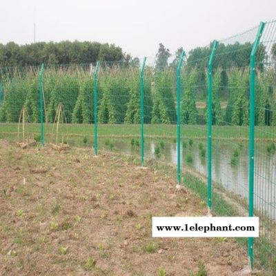 護欄網果園圈地隔離鐵絲網爬藤網片公園養殖公路防護網