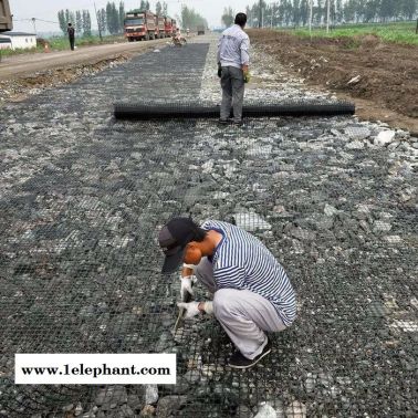 拓林 江西土工格柵 礦用護幫防護網 礦用阻燃塑料格柵 安全防護格柵網
