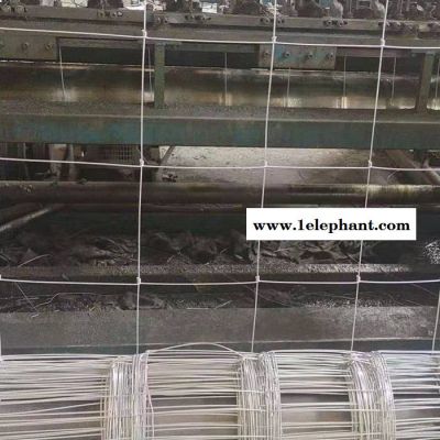 豪亮 畜牧網 新型防護網 高強度草原網