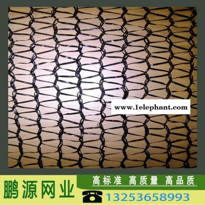 鵬源 防塵網(wǎng)建筑安全網(wǎng) 阻燃防護(hù)防塵網(wǎng) 綠色遮陽防曬網(wǎng) 屋頂遮陰網(wǎng)隔熱綠化蓋山土防塵網(wǎng) 防墜落聚酯安全網(wǎng) 廠家