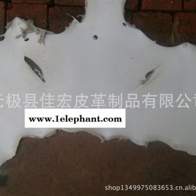 牛皮土黃，金黃，勞保手套皮，肚邊皮，牛頭皮。