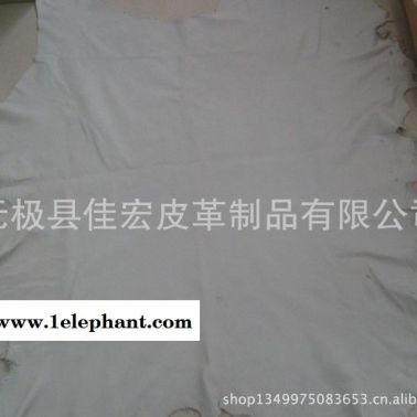 豬皮  白色小豬皮  母豬皮  肥豬皮  勞保手套皮